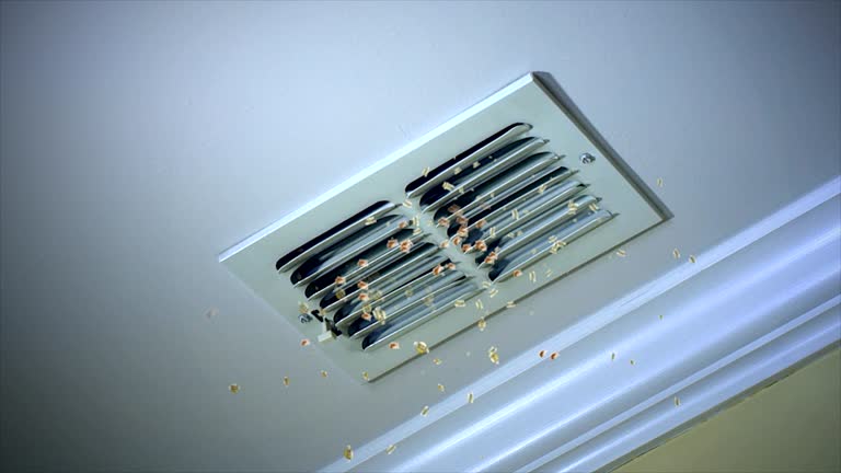 Best General Air Duct Cleaning  in Woxall, PA