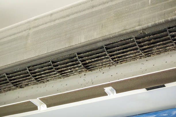 Best HVAC Duct Inspection Services  in Woxall, PA